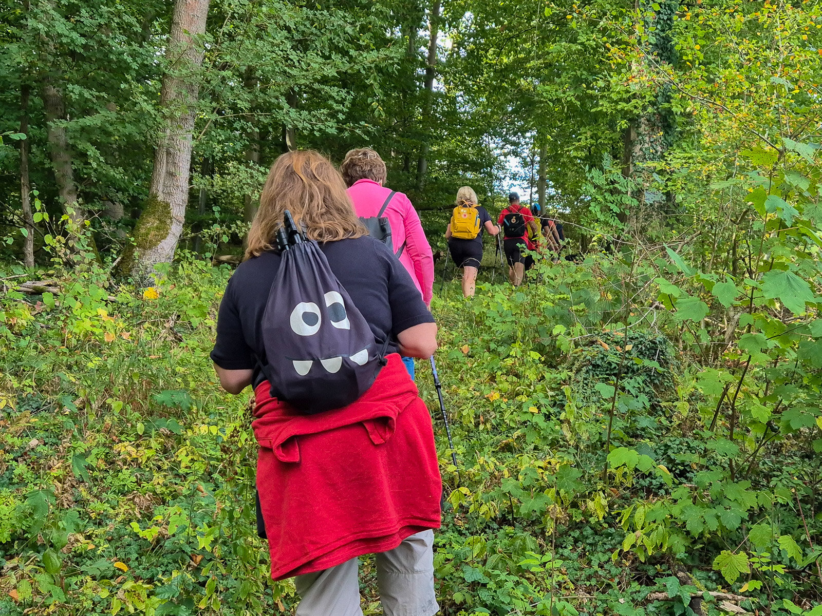 Auf Naturpfaden durch den Wald