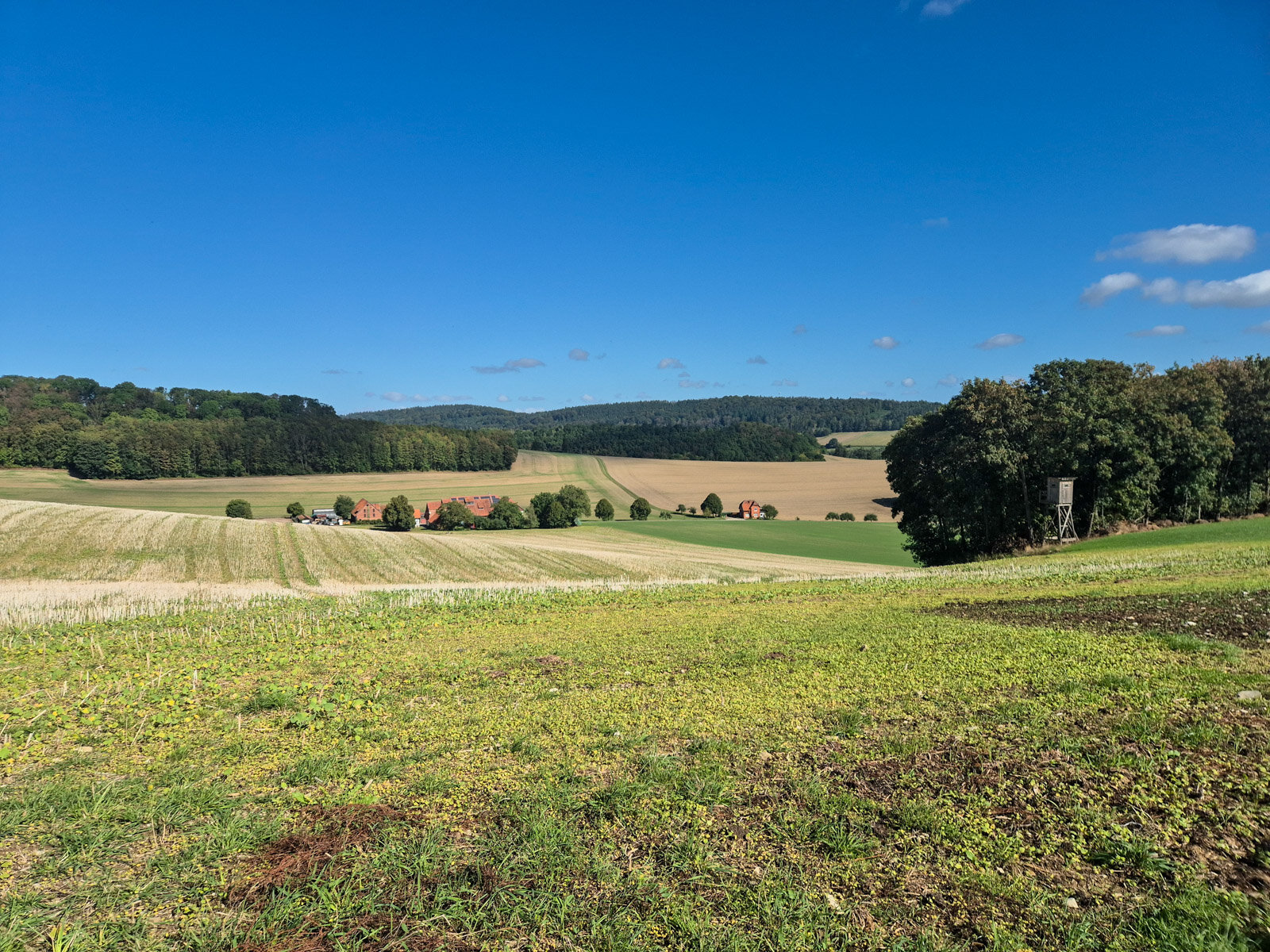 Landgut Mittal