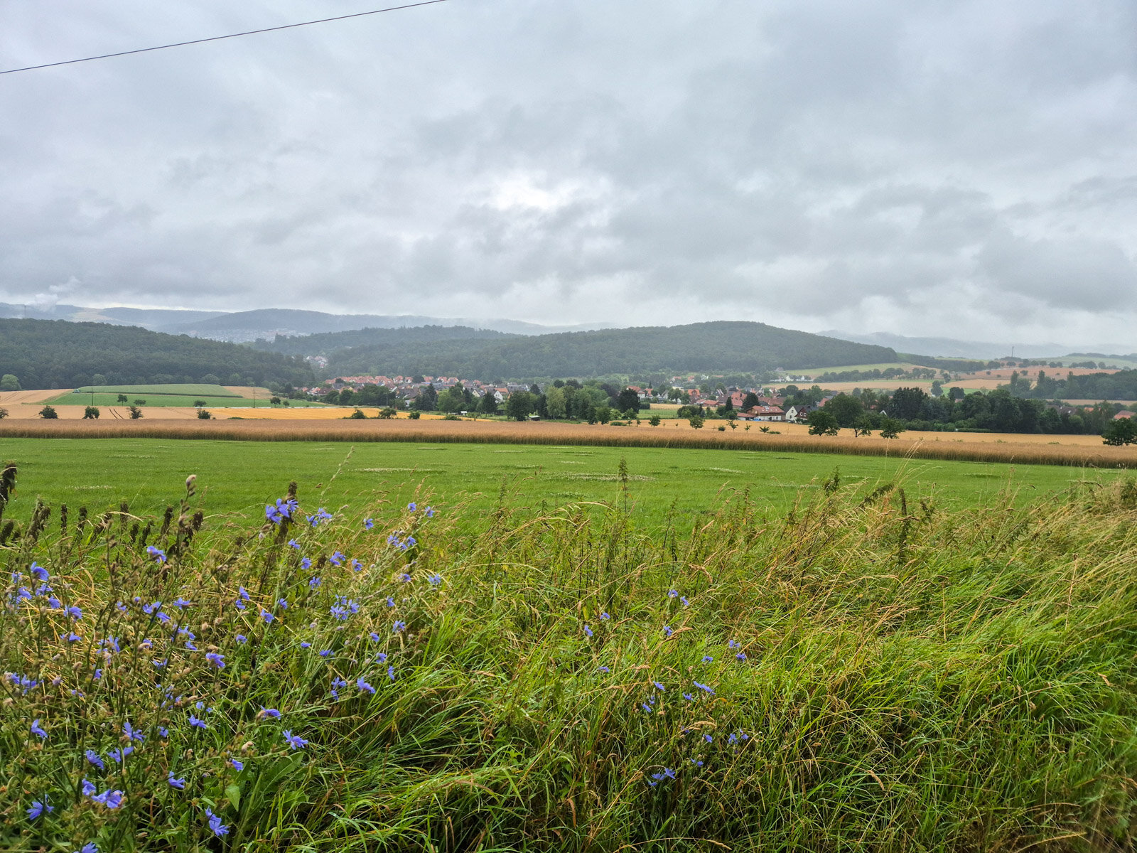 12. Blick über Wiesen und Felder auf Gerzen