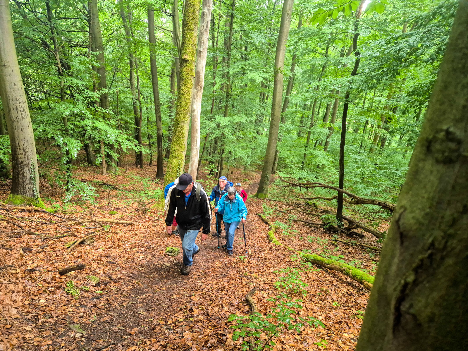 13. Steiler Anstieg zu den Gerzer Klippen