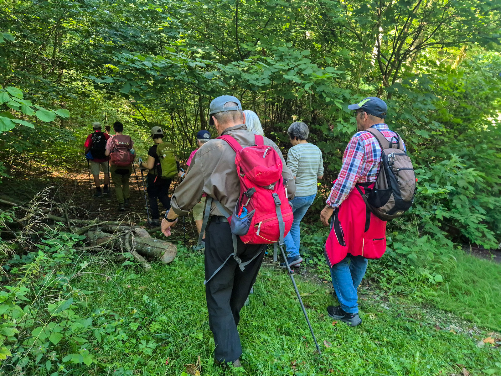 Auf schmalen Pfaden durch dichtes Grün