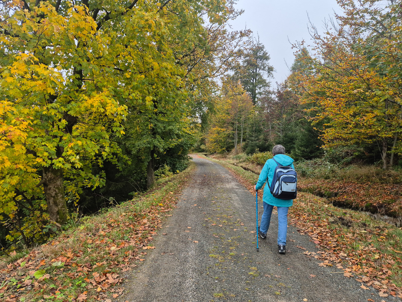Herbstfarben säumen unseren Weg.