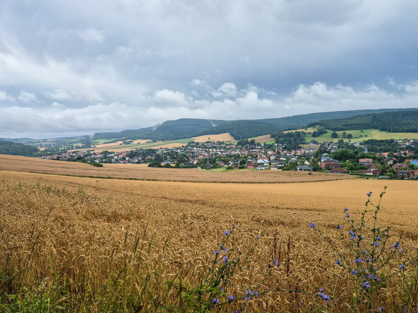 17. Blick über die Felder auf Delligsen