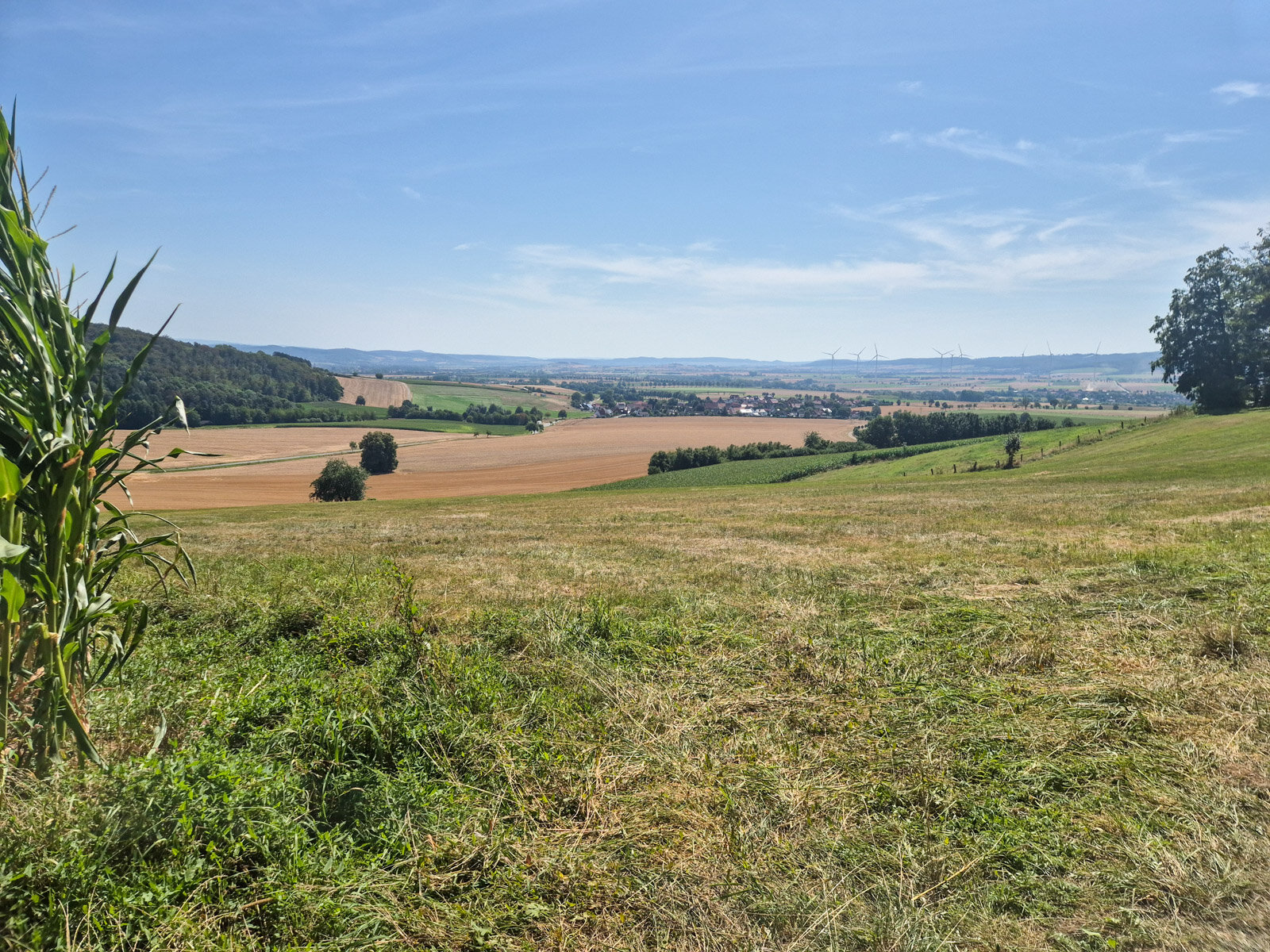 Blick über Vardeilsen in Richtung Einbeck und Ahlsburg
