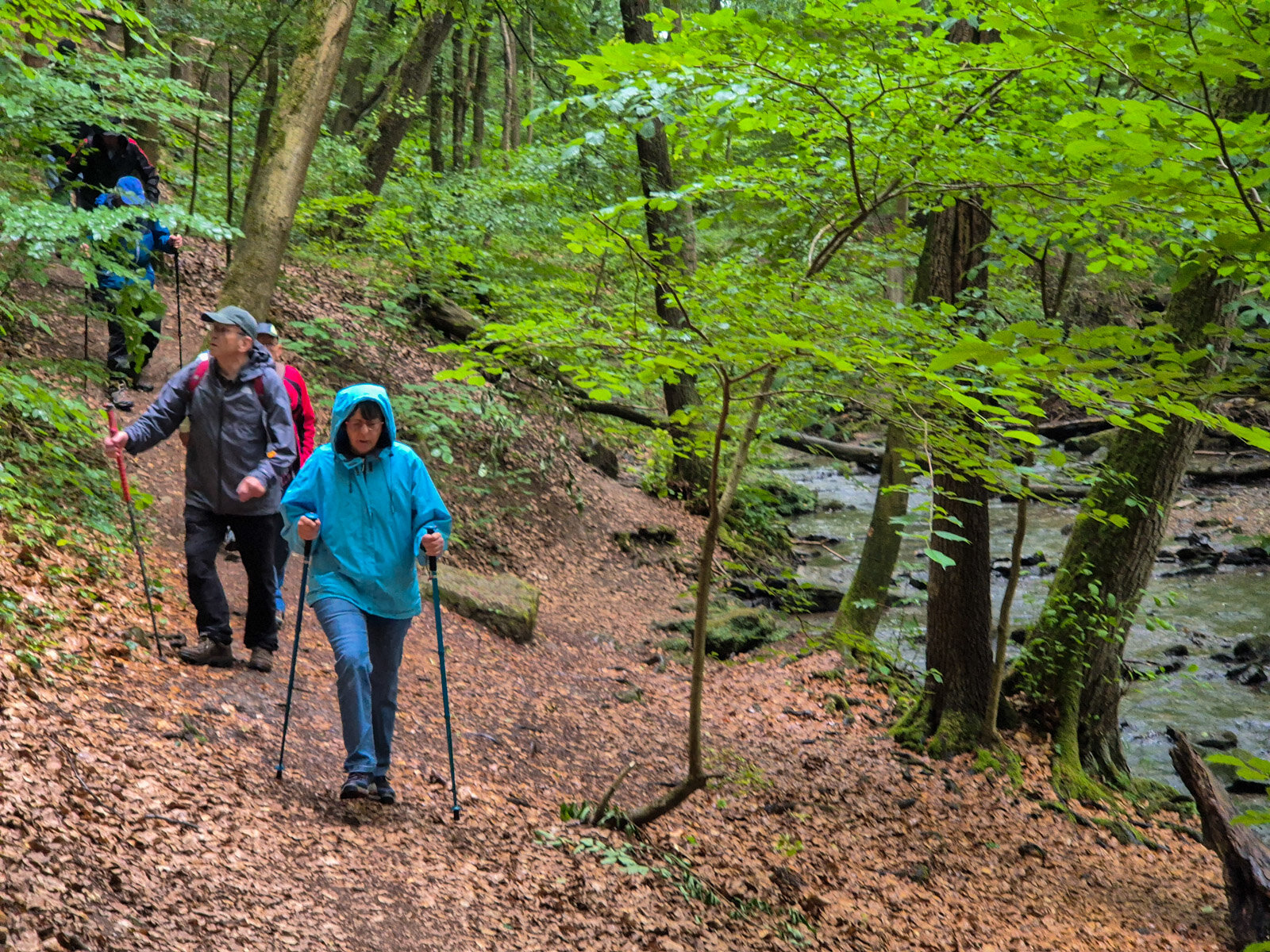 2. Entlang der Glene in Richtung Lippoldshöhle