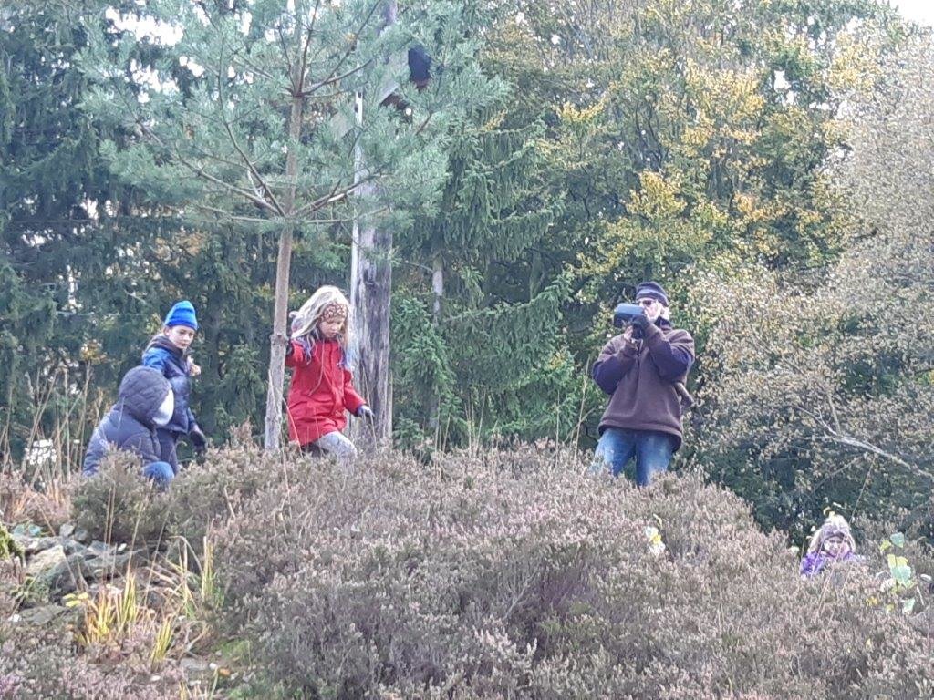 22.10.2021: Pflege Heidefläche