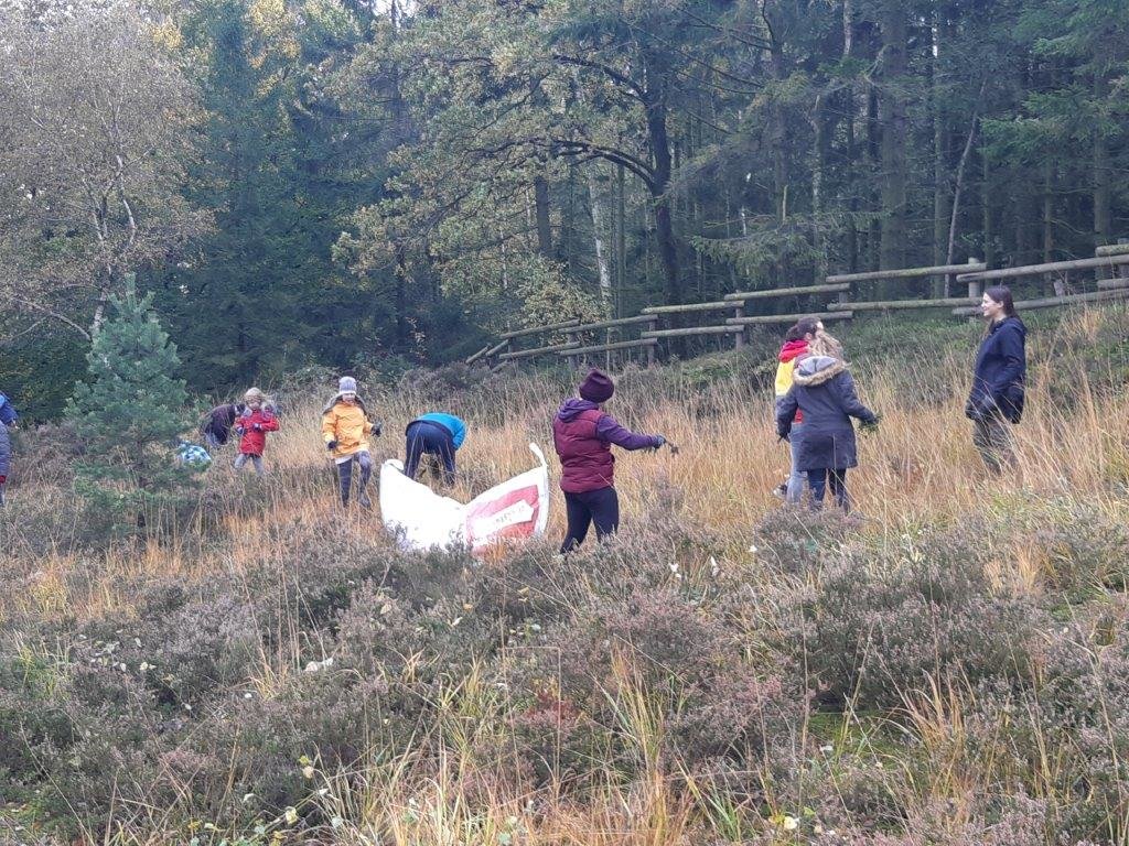 22.10.2021: Pflege Heidefläche