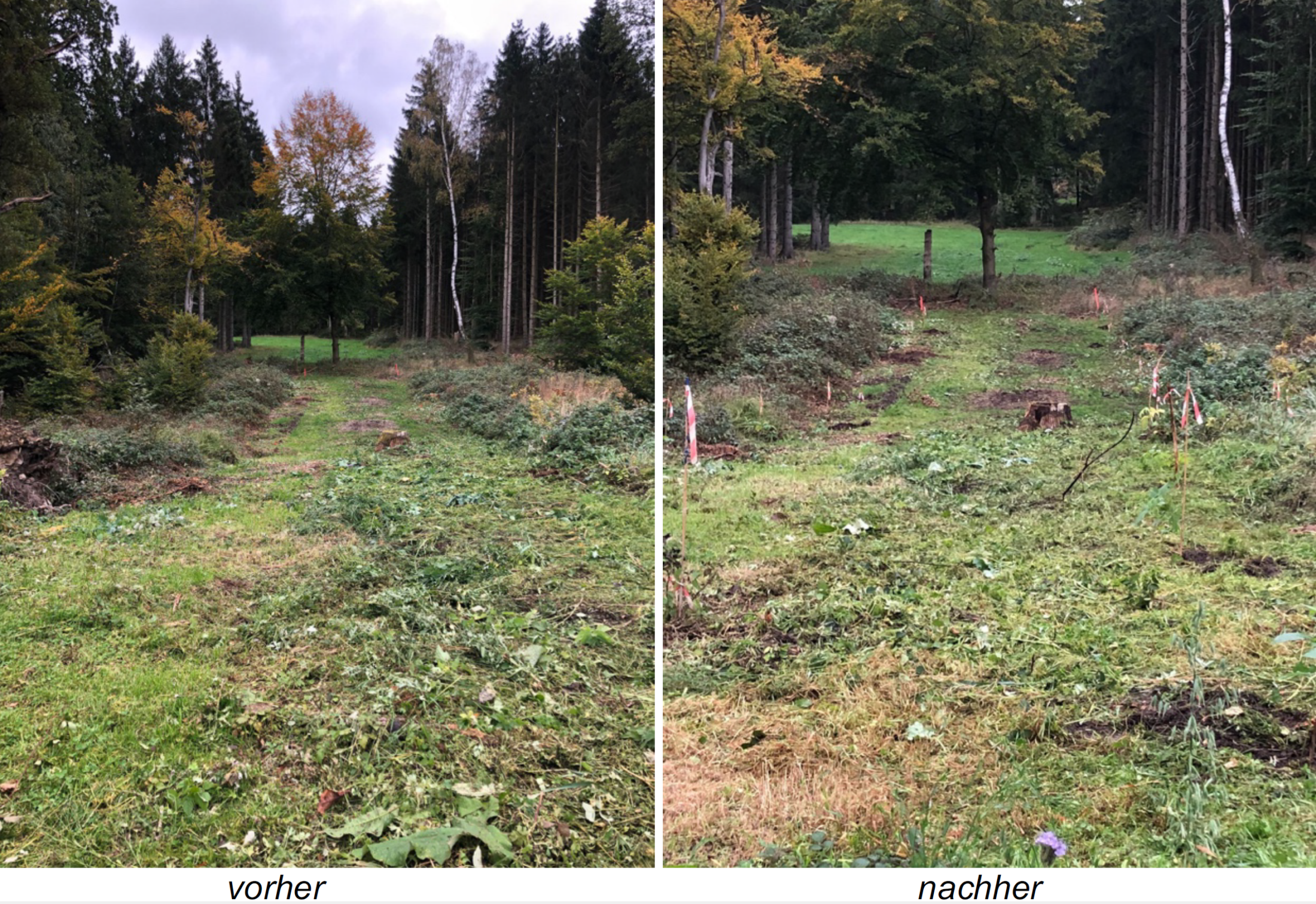 Ferienpass-Aktion Herbst 2023