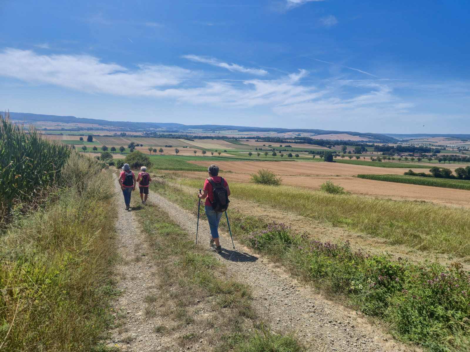 Die letzten Kilometer führen mit weitem Ausblick bergab