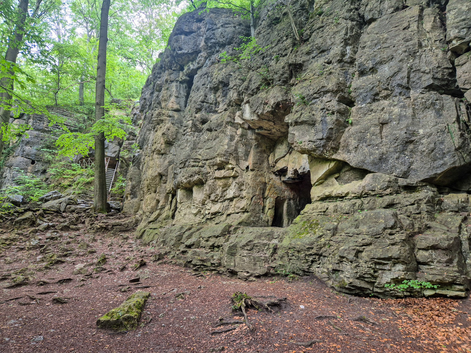 4. Die sagenumwobene Lippoldshöhle