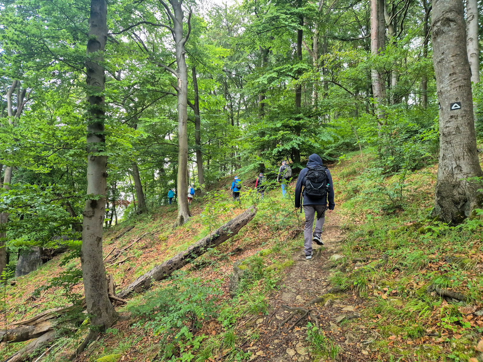 5. Auf schmalem Pfad oberhalb der Lippoldshöhle