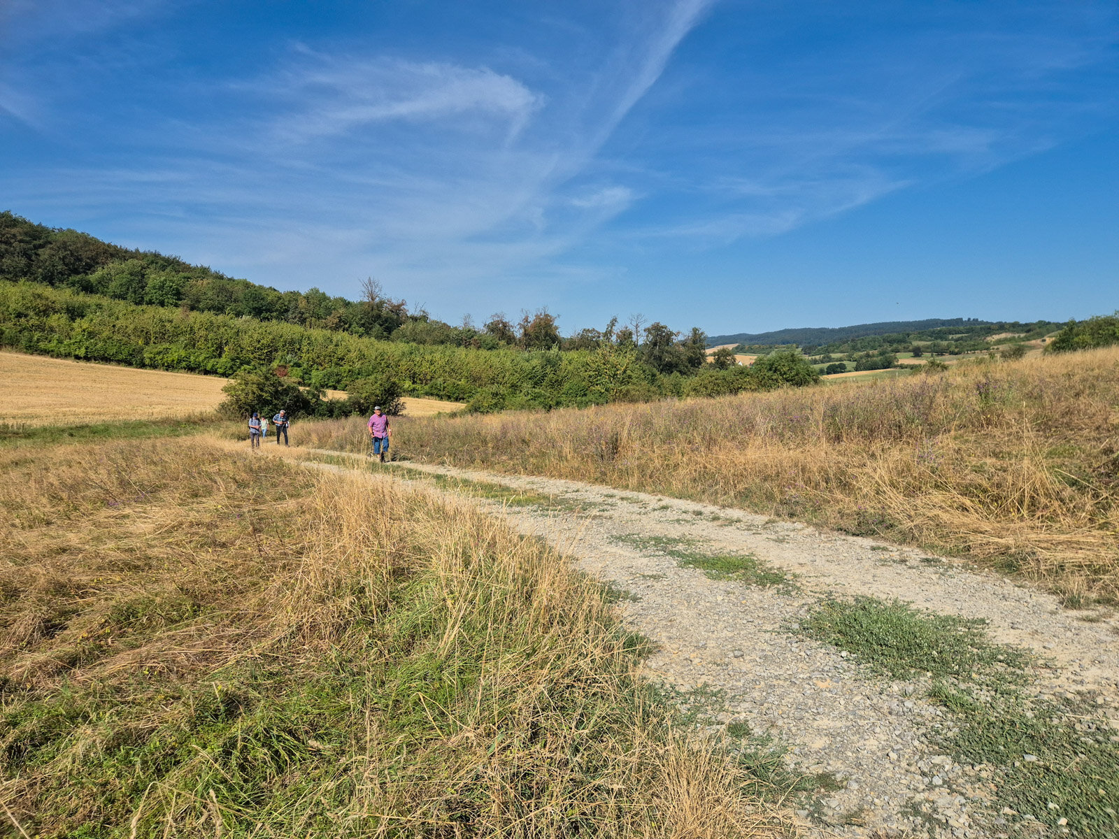 Immer wieder leichte Steigungen