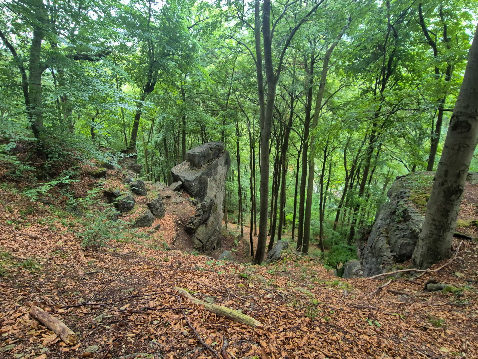 7. Felsen und Klippen oberhalb der Lippoldshöhle