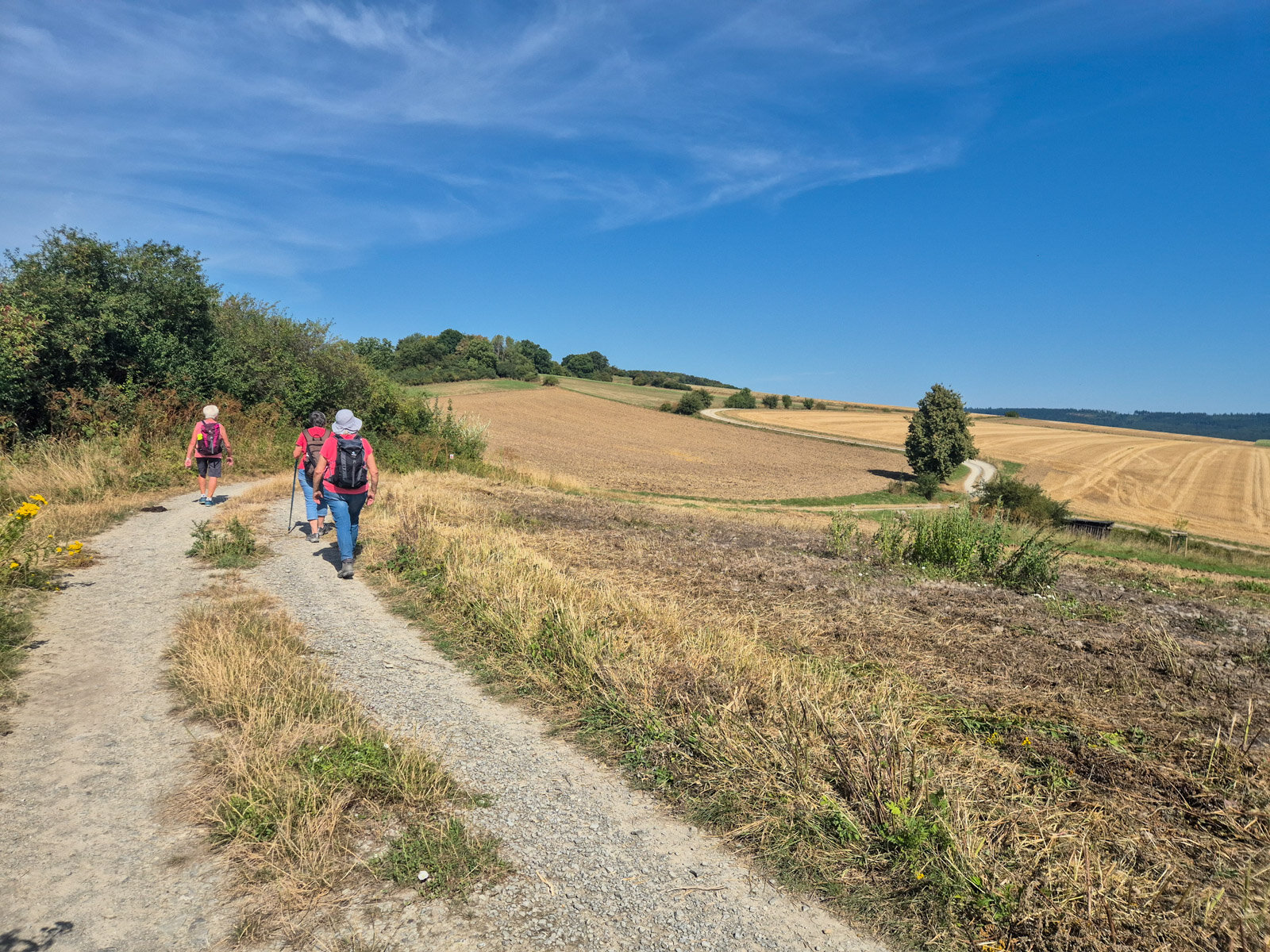 In weiten Bögen schlängelt sich der Weg durch die Felder