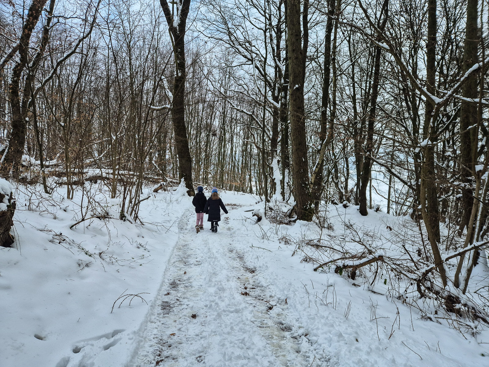Auf schmalem Weg durch den bewaldeten Röhnberg