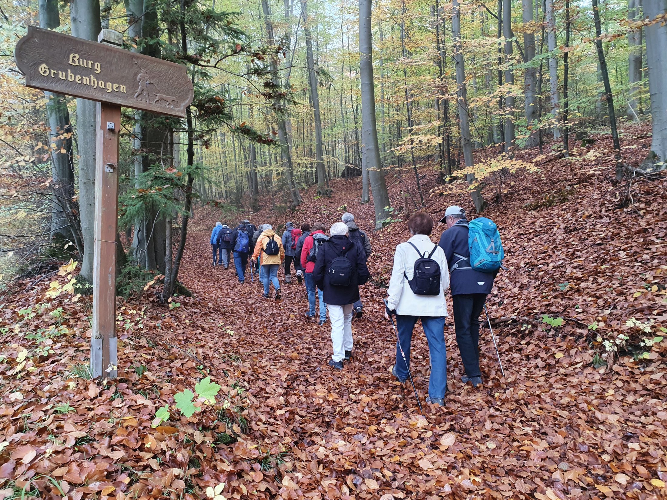 Aufstieg zur Burg Grubenhagen