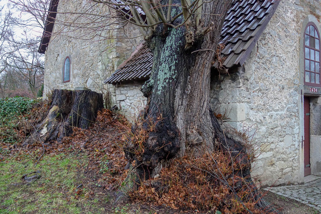 12.01.2019: Winterwanderung