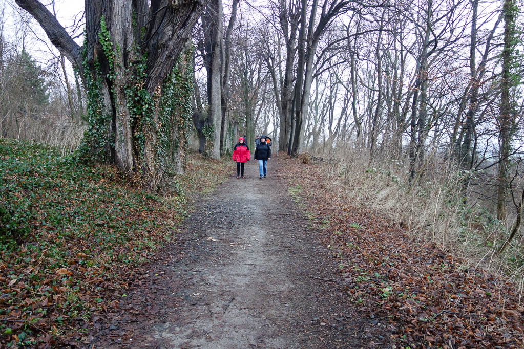 12.01.2019: Winterwanderung