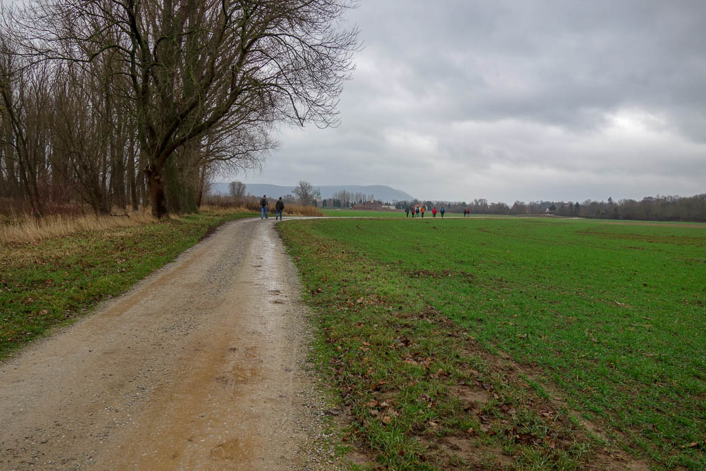 12.01.2019: Winterwanderung