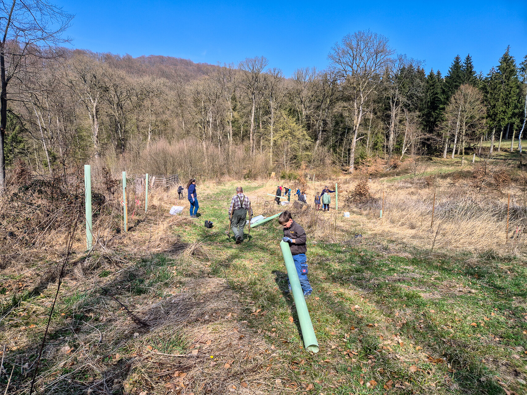 Baumpflanzaktion im Hagental