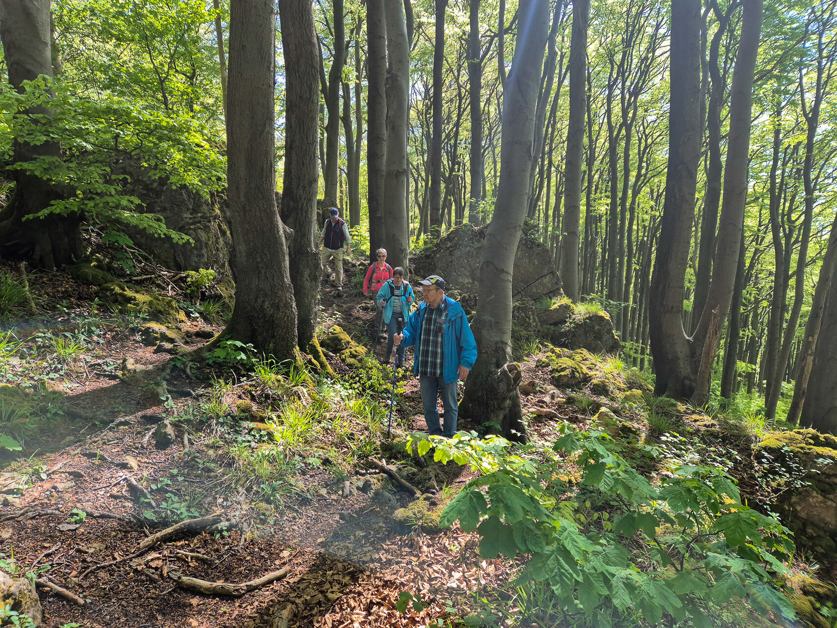 Der Ith-Hils-Weg führt durch felsiges Gelände