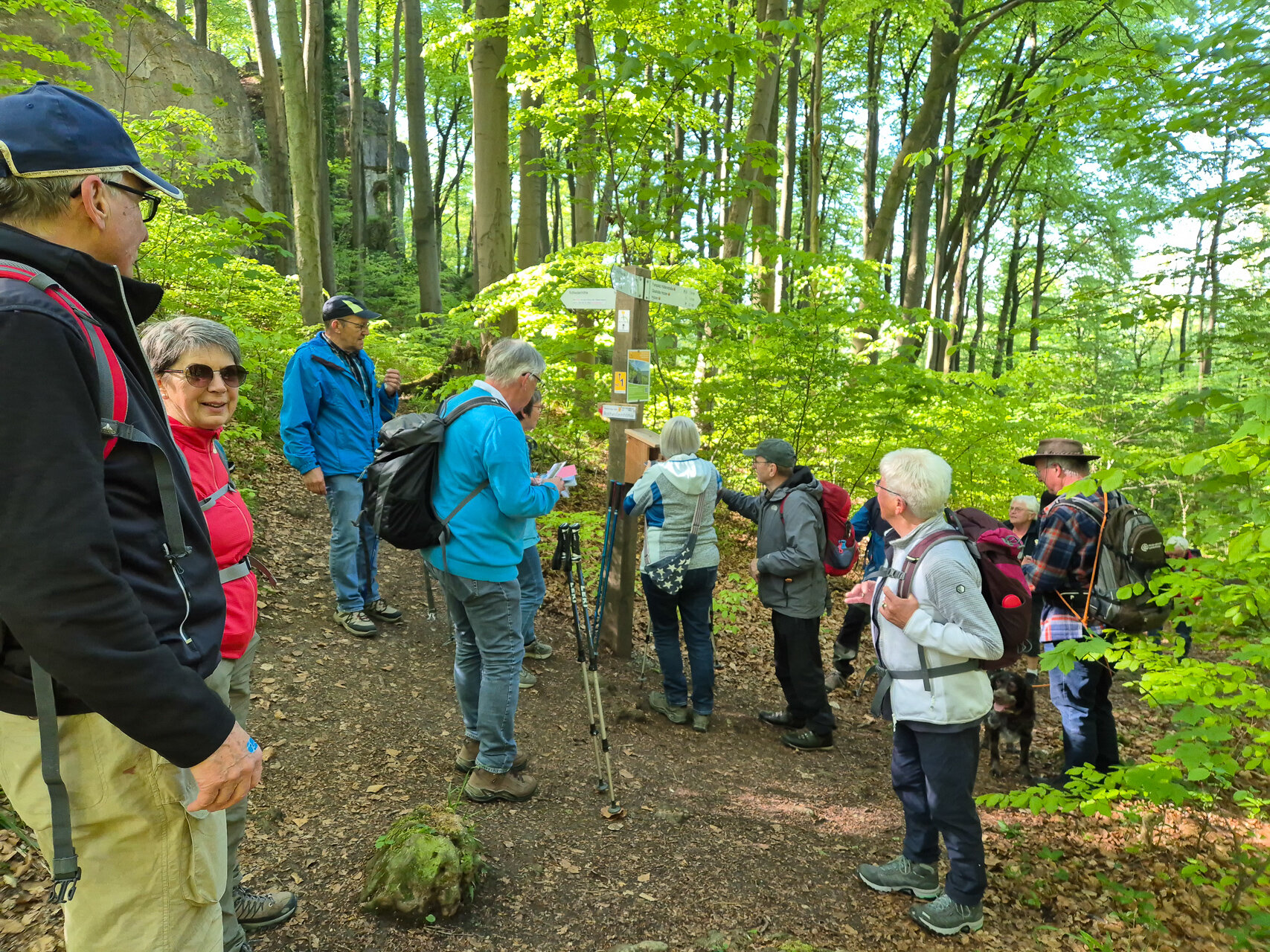 Der Ith-Hils-Weg führt unterhalb der Rothesteinhöhle entlang