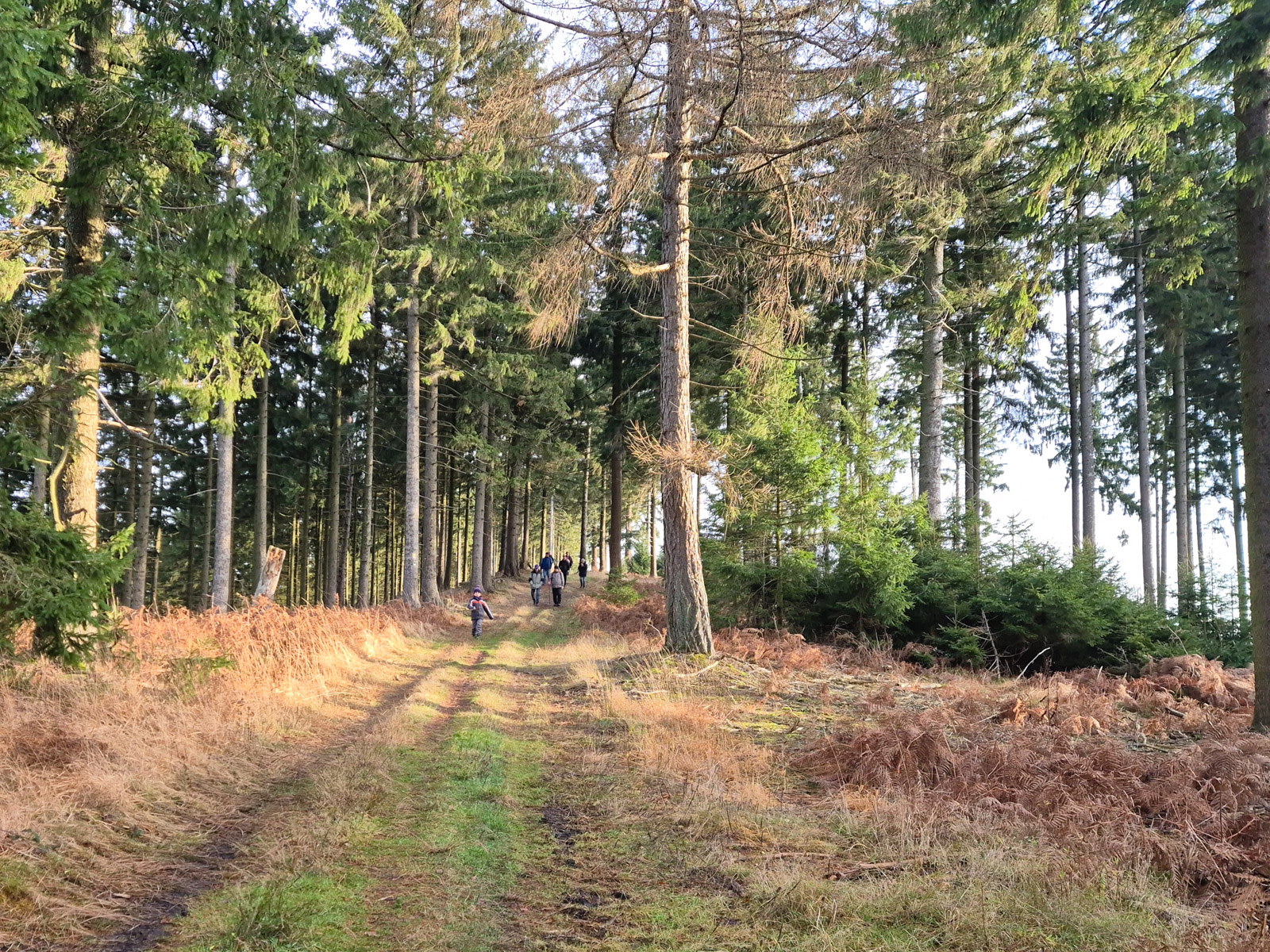 Der Kammweg – Ruhig und abwechslungsreich