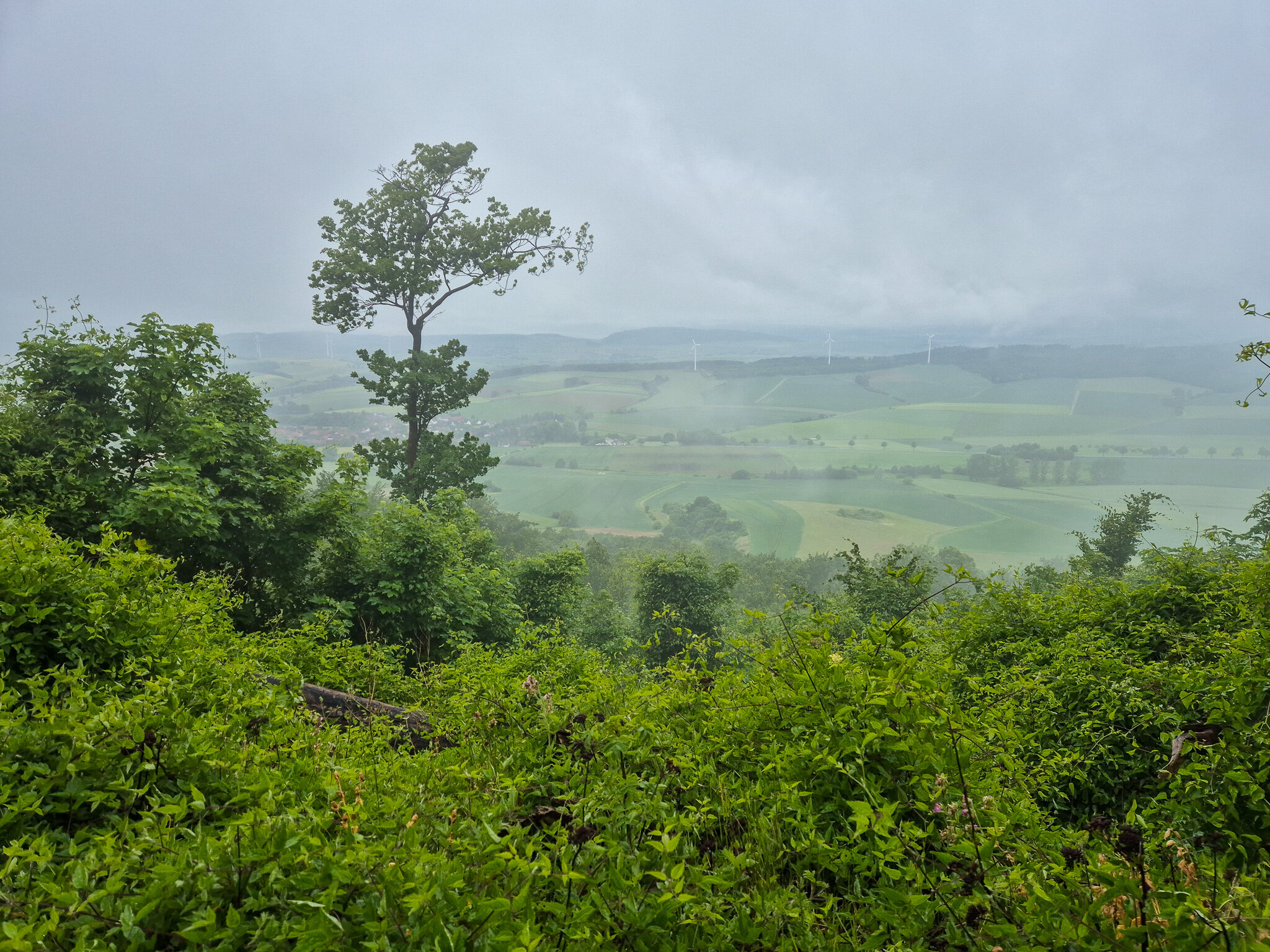 Die Fernsicht ins Weserbergland blieb uns verwehrt