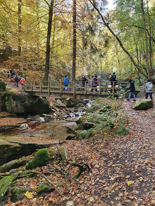 Die Wanderer überqueren das Flüsschen Ilse