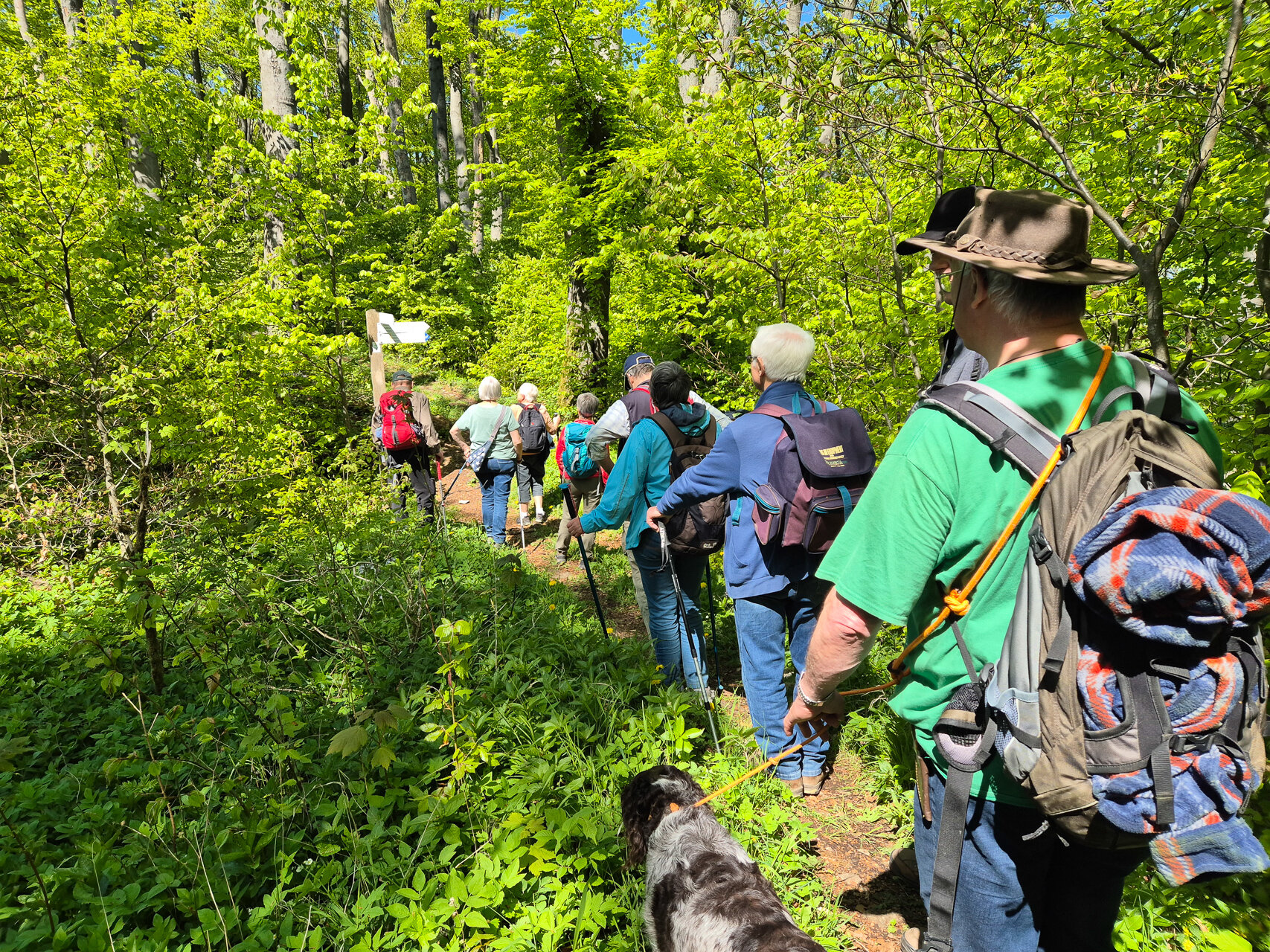 Die Wandergruppe auf dem Ith-Hils-Weg