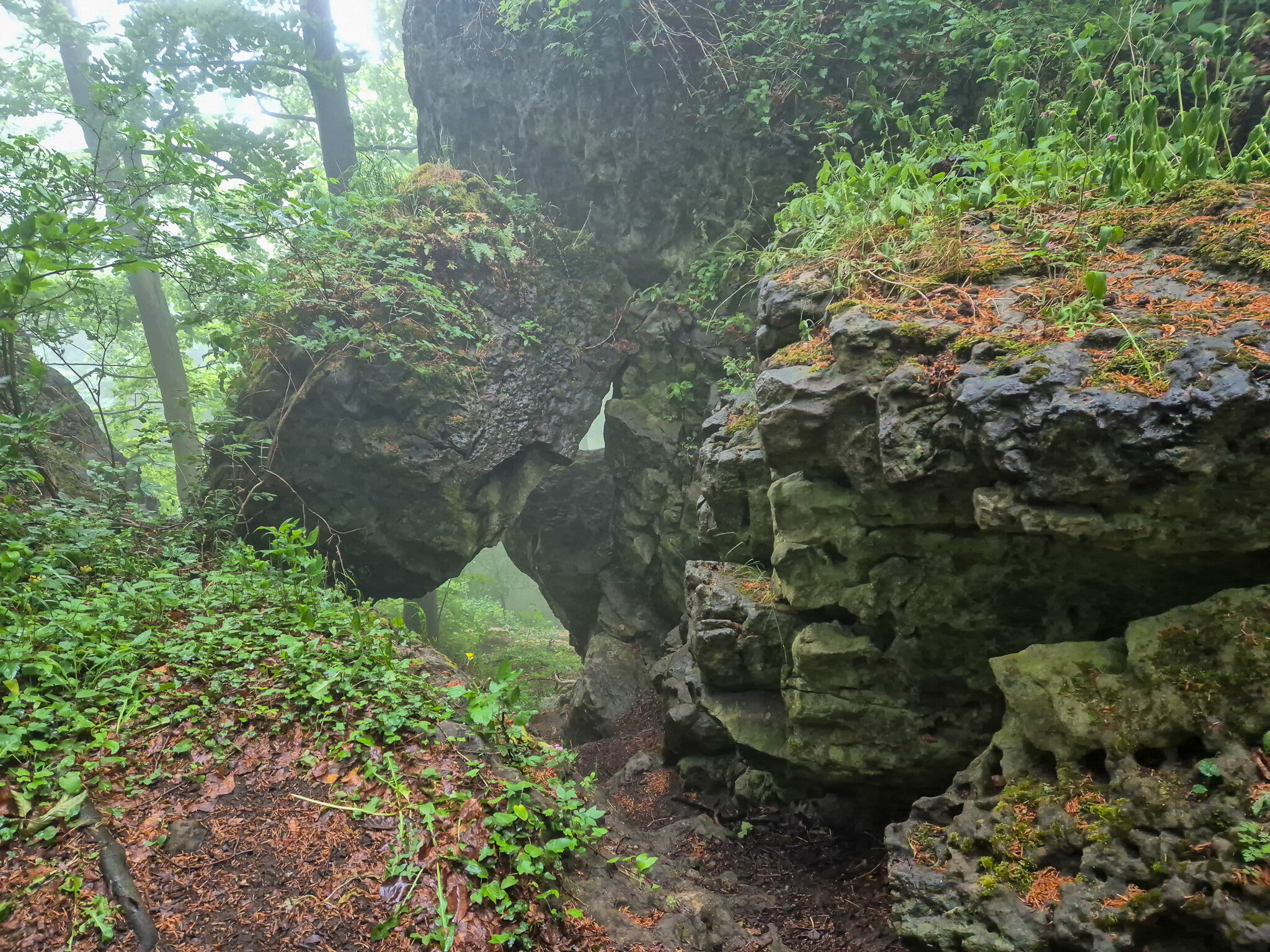 Felsen am Ith-Hils-Weg