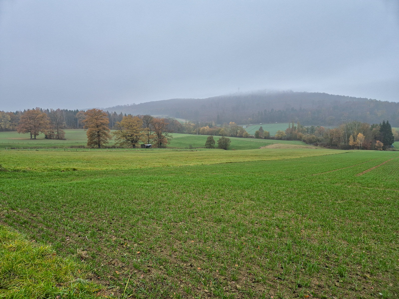 Herbststimmung über den Feldern bei Delligsen