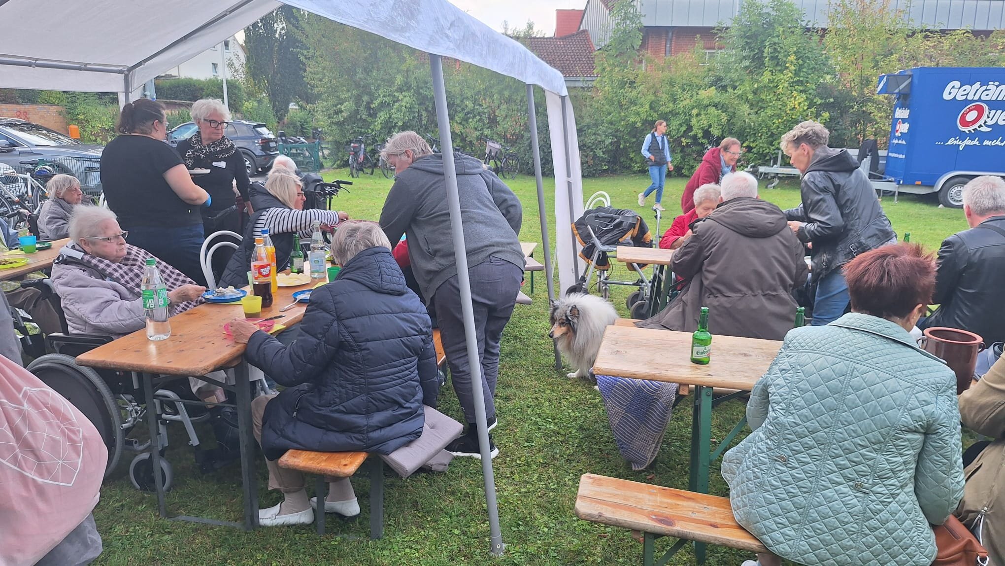 Kartoffelbratschen 2026