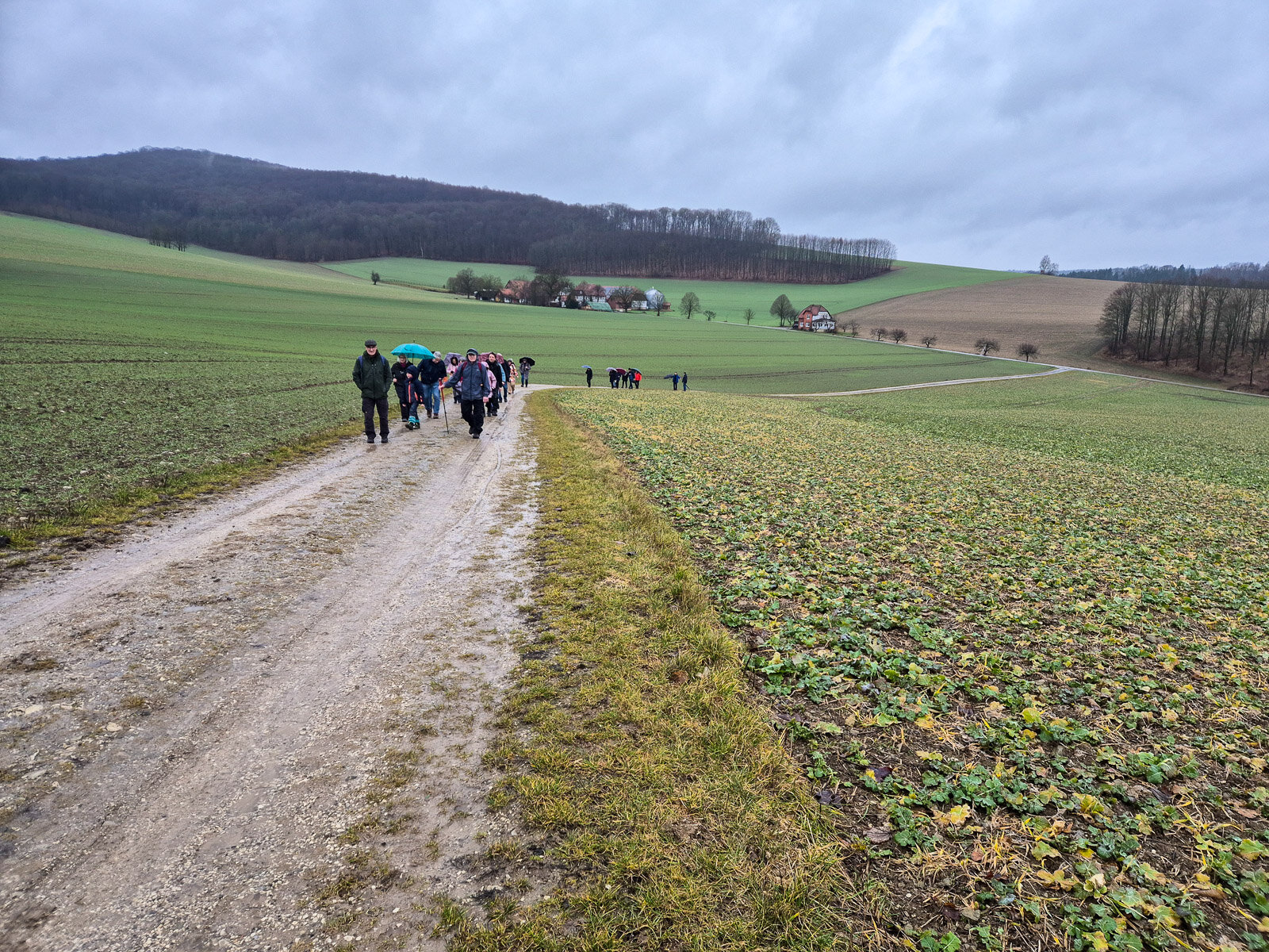Im Nieselregen durch die Feldmark