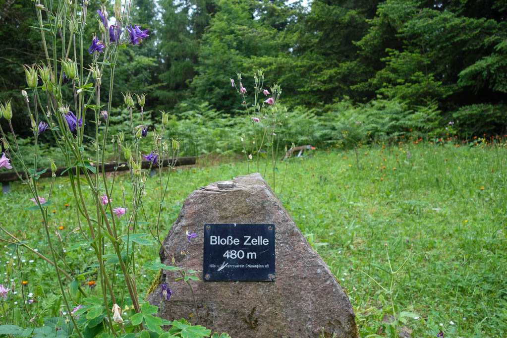 14.07.2019: Ith-Hils Wanderweg