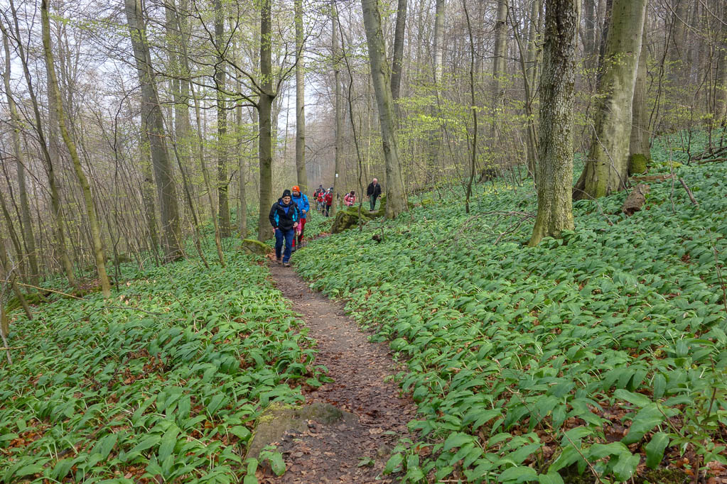 14.07.2019: Ith-Hils Wanderweg