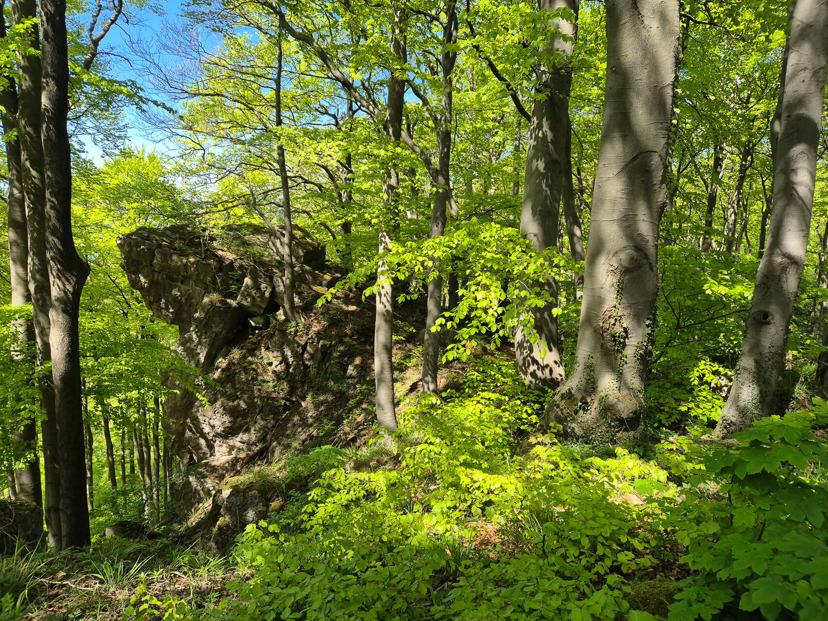Klippen auf dem Ith-Hils-Weg