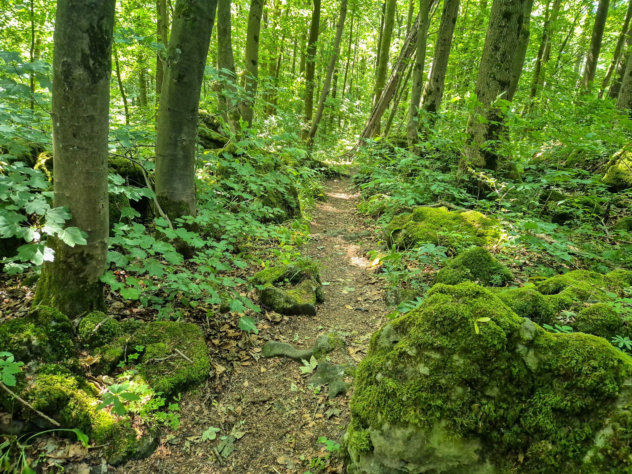 Klippen säumen den Weg – Ein eindrucksvoller Naturpfad entlang des Kammwegs