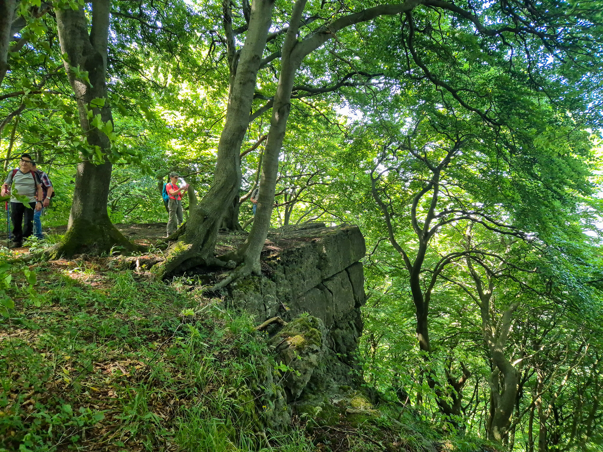 Klippen und tiefe Schluchten am Ith-Hils-Weg