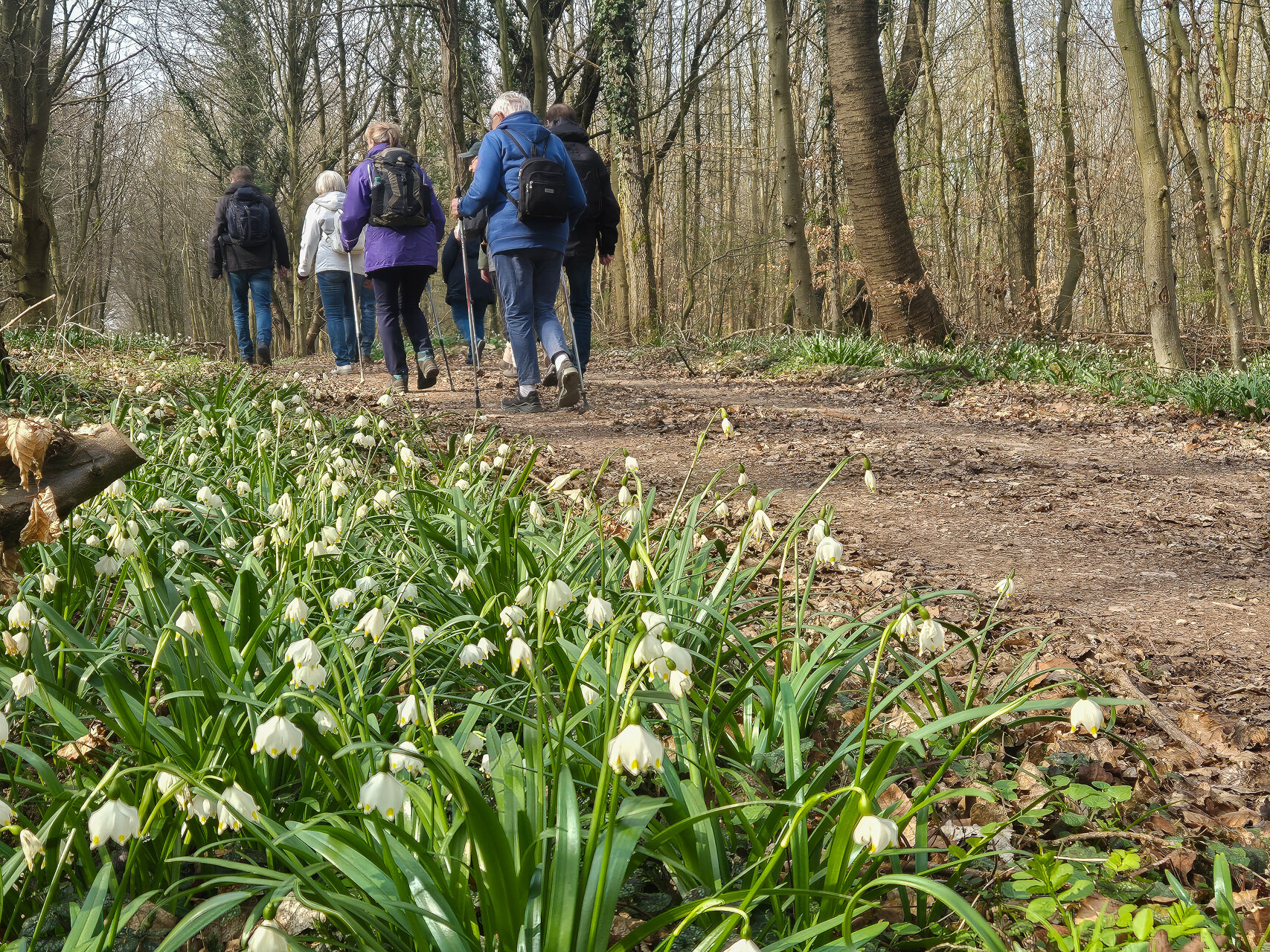 Märzenbecherwanderung