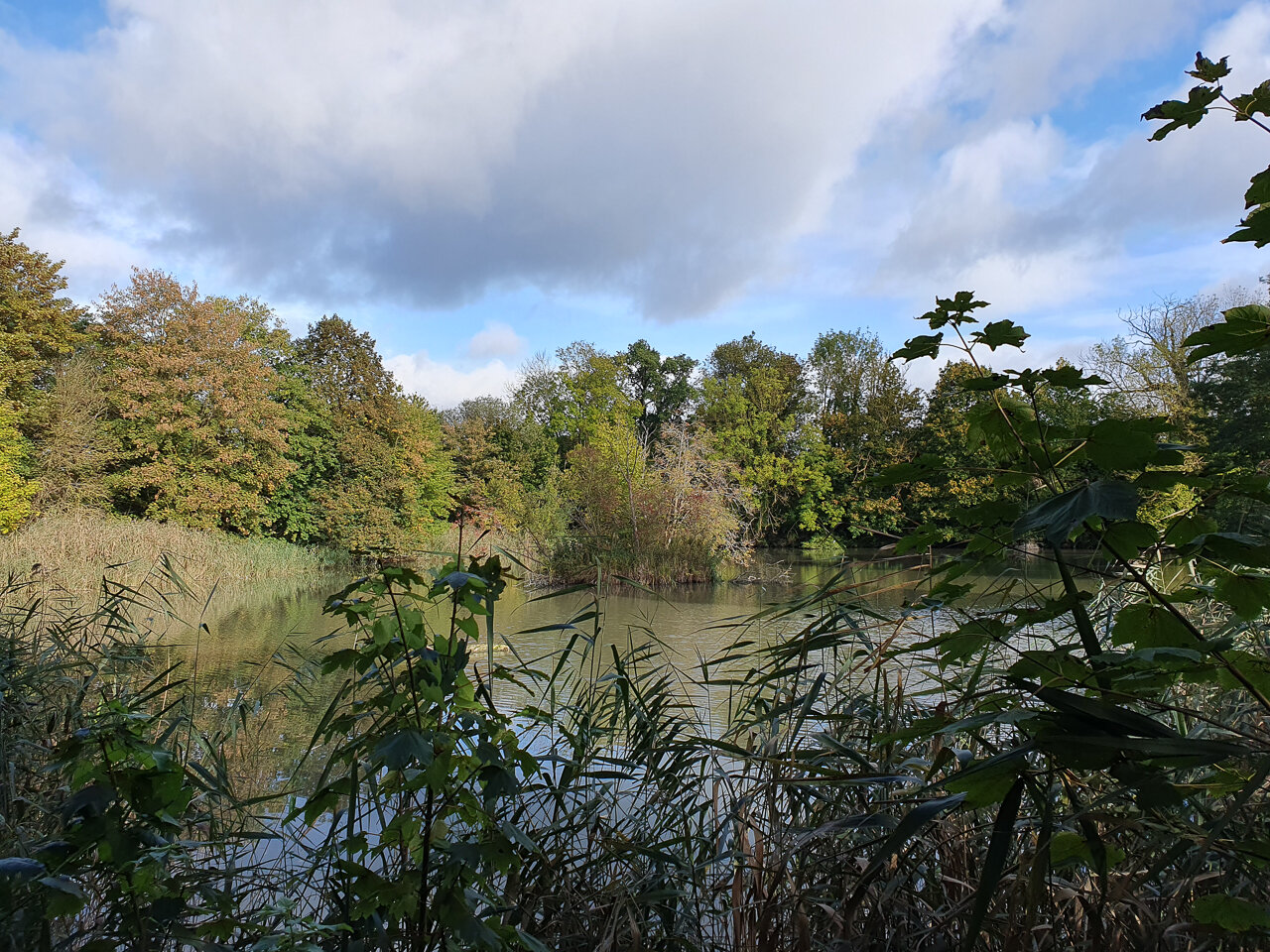 Mehrere Teiche gibt es rund um Schloss Derneburg