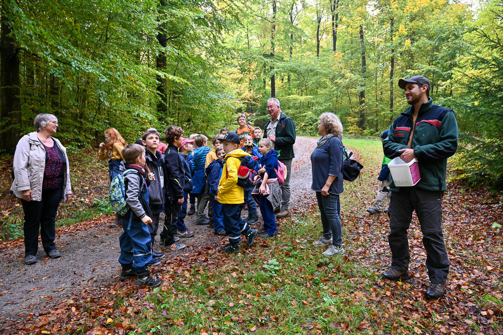 Mit dem Förster durch den Wald