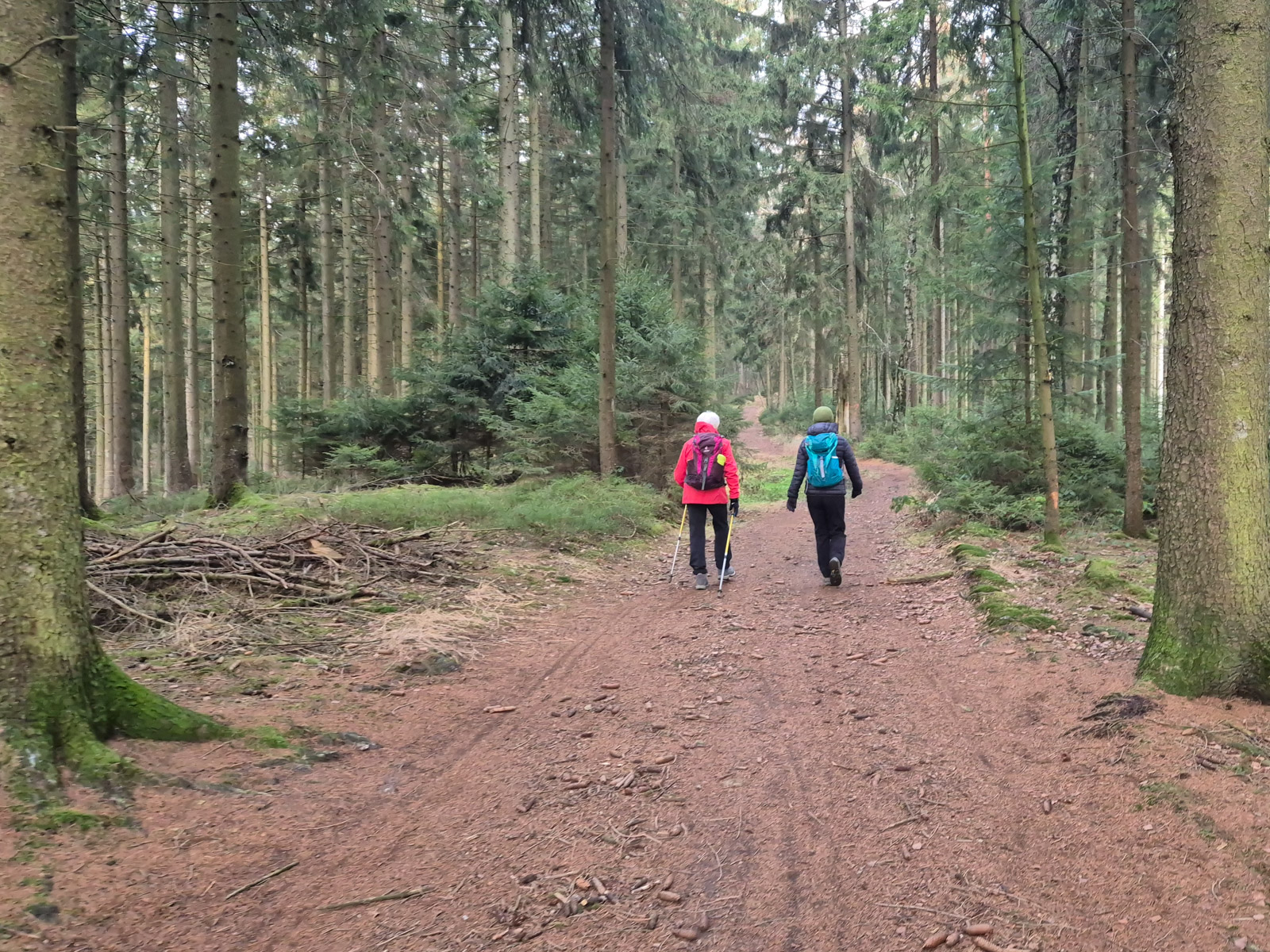 Naturweg auf dem Höhenzug des Hils