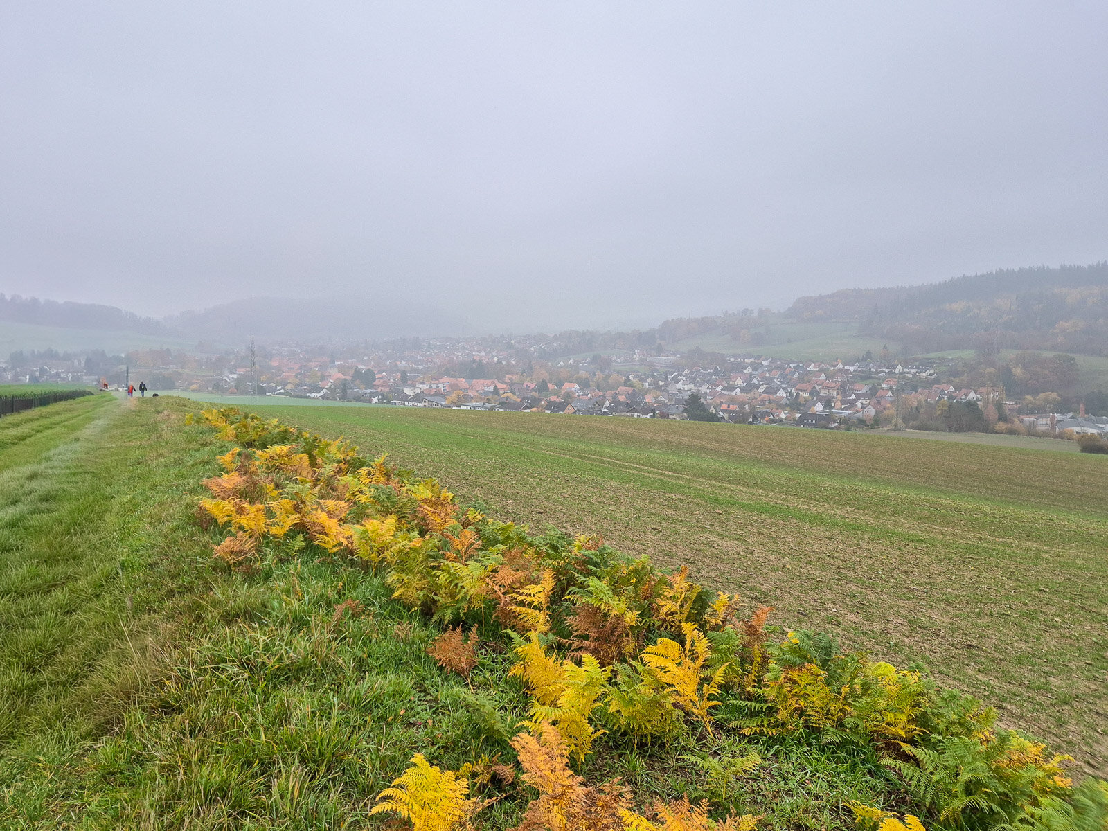 Rückweg – Delligsen taucht aus dem Dunst auf