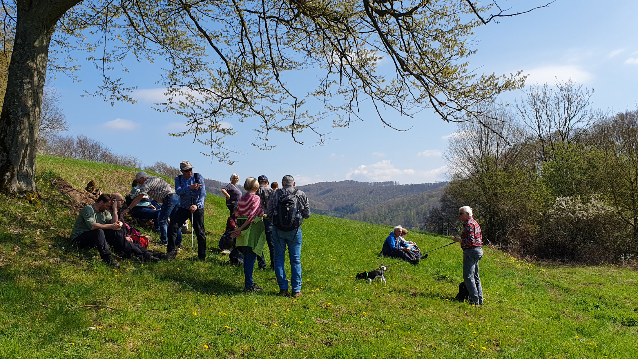 Rast in Schönster Natur