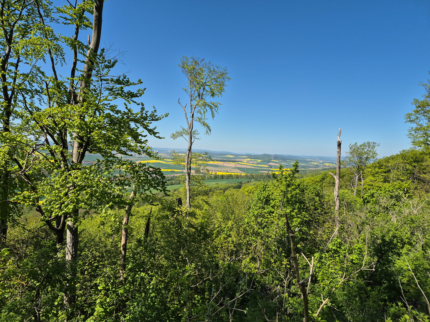 Schöne Aussicht auf das Weserbergland