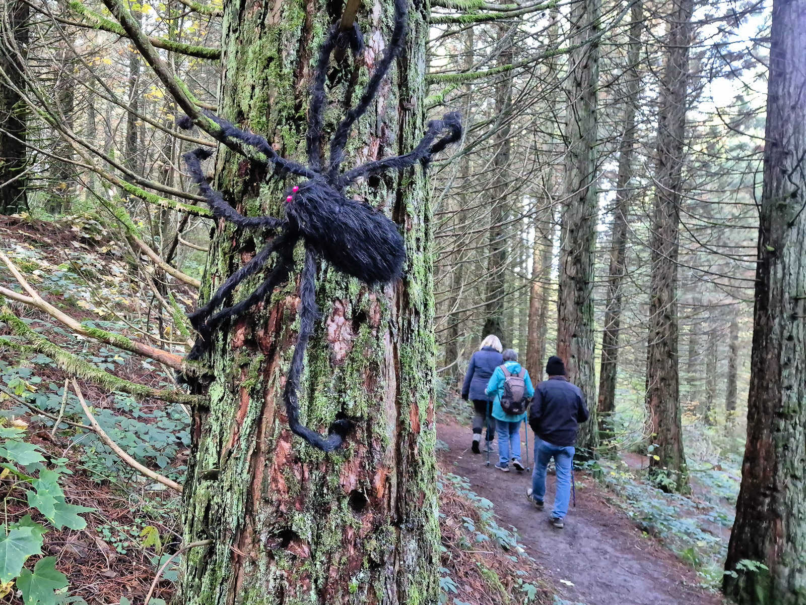 Unerwartete Begegnung im Wald