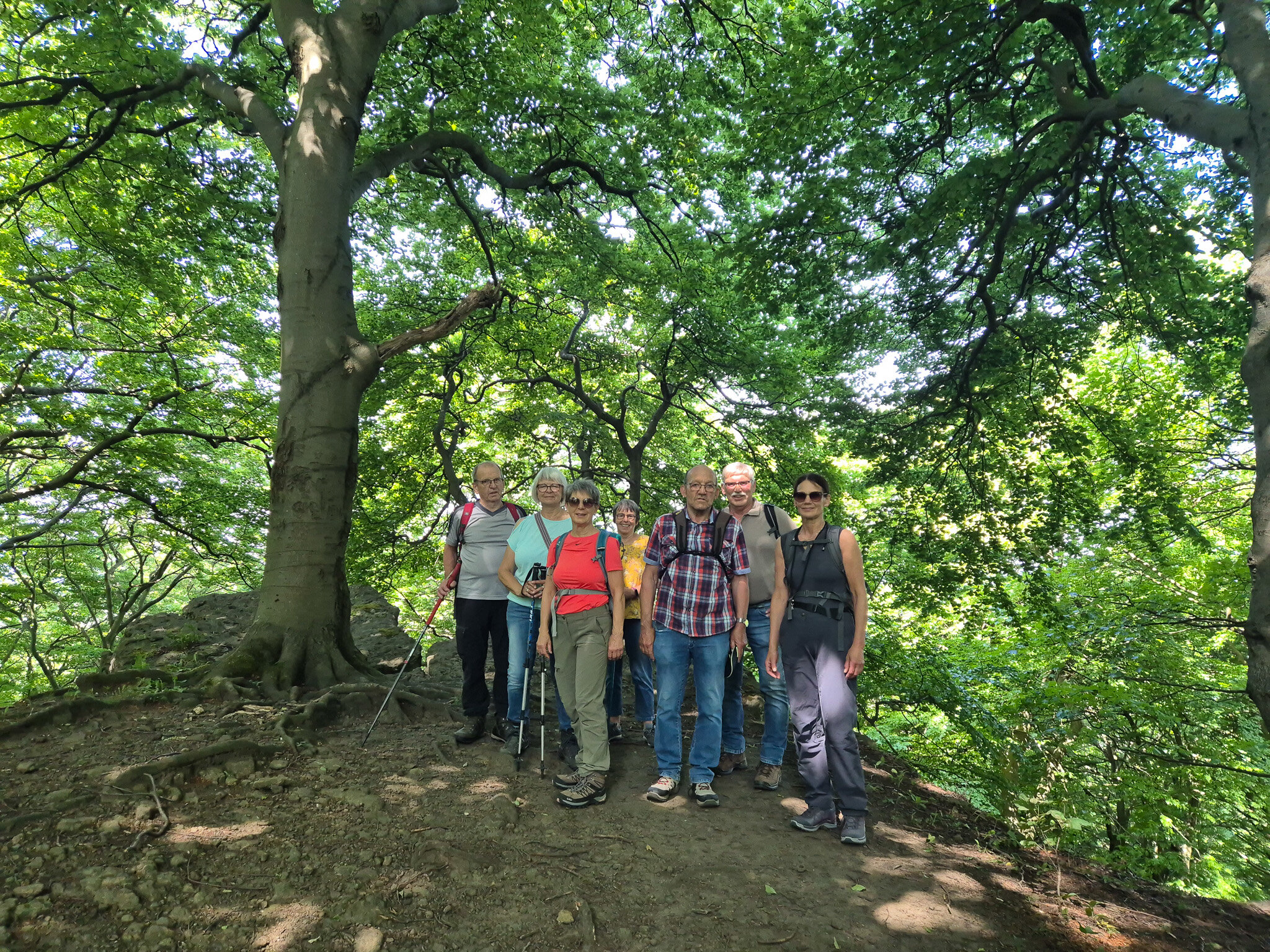 Unsere Wandergruppe im Schatten unter alten Buchen