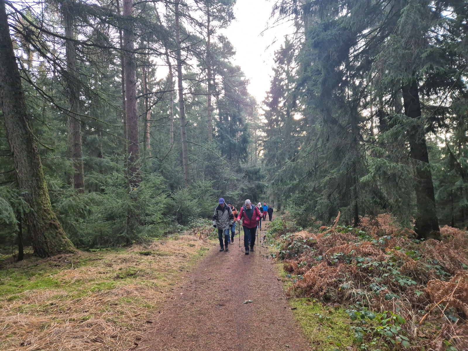 Unterwegs auf dem Hils-Kammweg