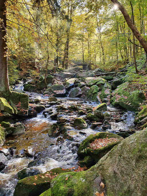 Ursprünglich und faszinierend strömt das Wasser durch das steinige Bachbett